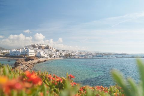 Da Naxos: gita di un giorno a Delos e Mykonos in catamarano