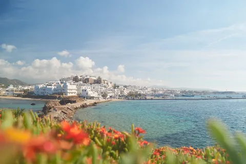 Au départ de Naxos : Excursion d'une journée à Delos et Mykonos en catamaran