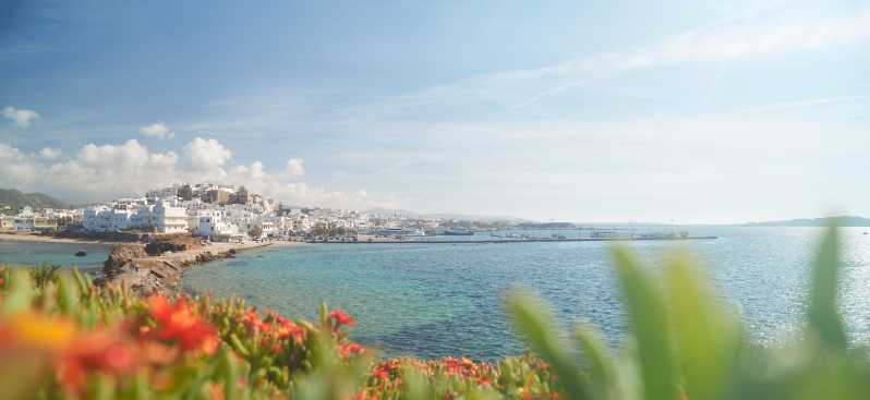 From Naxos: Delos and Mykonos Full-Day Trip by Catamaran