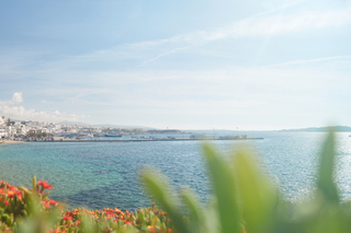 Day Trips and Tours from Naxos