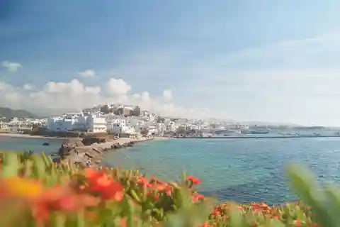 Au départ de Naxos : Excursion d'une journée à Delos et Mykonos en catamaran