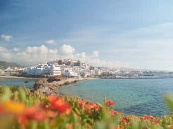 From Naxos: Delos and Mykonos Full-Day Trip by Catamaran
