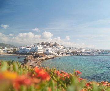 From Naxos: Delos and Mykonos Full-Day Trip by Catamaran