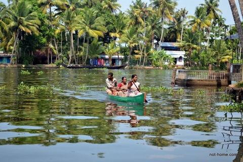 Ab Hafen Kochi: Backwaters per HausbootGruppe :Nur Backwater Hausbootfahrt mit Snacks