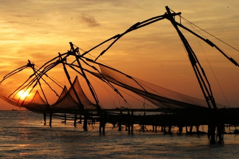 From Cochin Port: Backwaters by Houseboat Group :Only Backwater Houseboat Cruise with Snacks