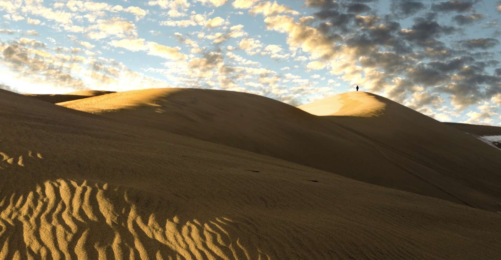 Doha Desert Safari Dune Bashing Camel Ride Sandboarding Suitetrails