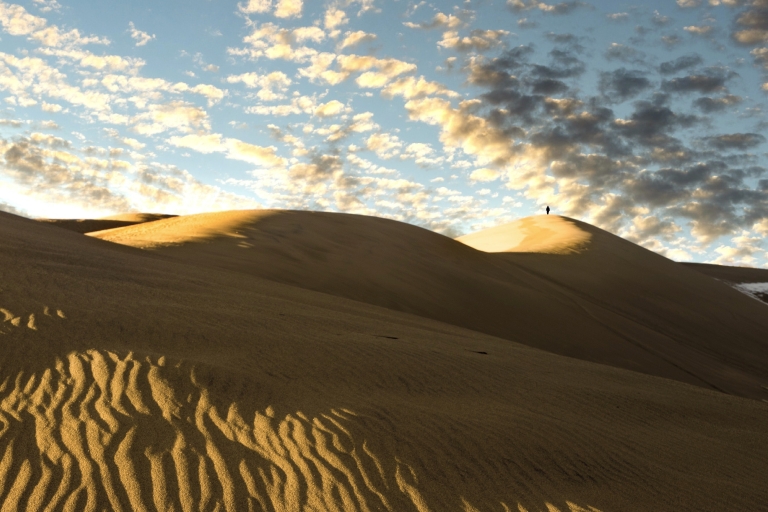 Doha: Desert Safari, Dune Bashing, & Camel Ride Doha: 4-Hour Private Desert Safari and Camel Ride