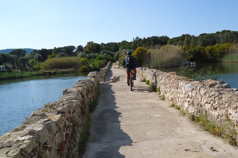 Bike Rental