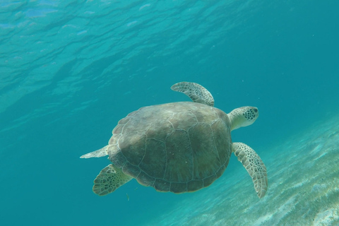 St Thomas & St John: Snorkeling and Beaches Boat Tour Half day