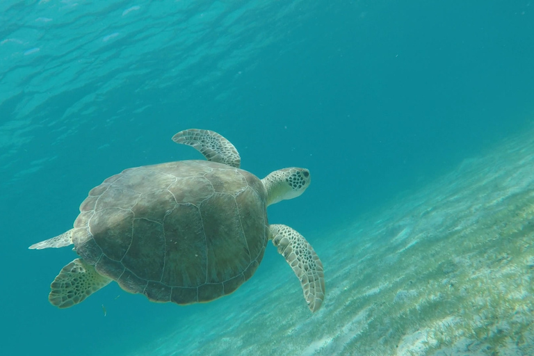 St Thomas & St John: Snorkeling and Beaches Boat Tour Half day