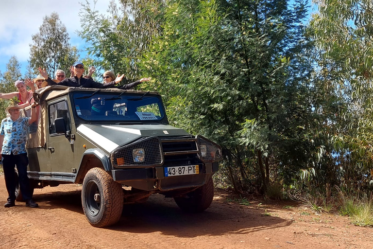 Safari 4x4 privé à Madère, journée complète à Santana ou Porto MonizVisite privée complète et personnalisable