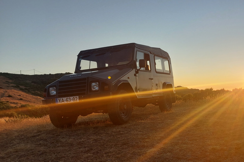 Madeira Safari Private 4x4, całodniowa Santana lub Porto MonizPrywatna, pełna, kosztowna wycieczka