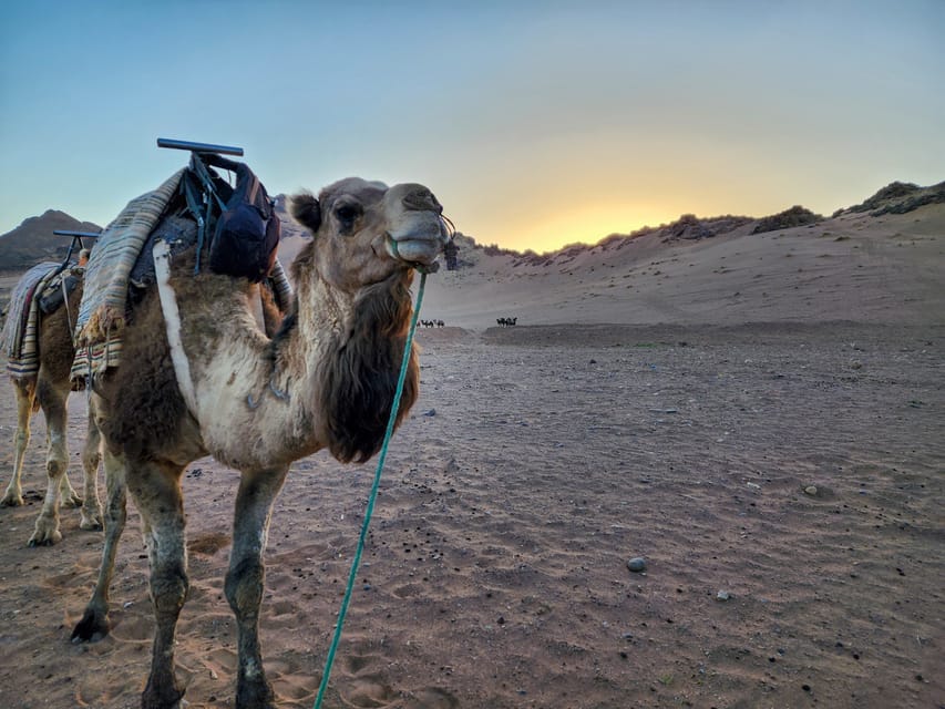 Desde Marrakech Excursión de 2 días al Desierto de Zagora con