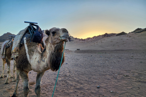 Från Marrakech: 2-dagars äventyr till ZagoraöknenDelad tur: Standardboende