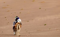 Van Marrakech, 2-daagse reis naar Zagora Desert met Berber Camp - Housity