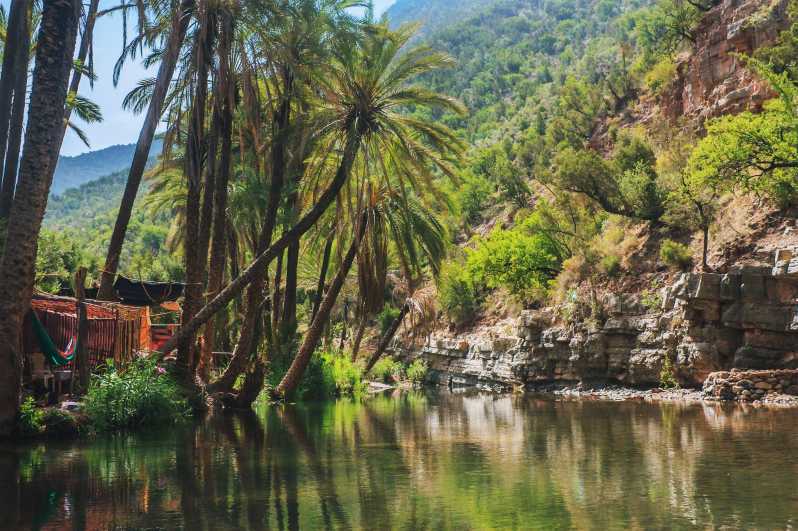 Agadir Or Taghazout: Paradise Valley Excursion