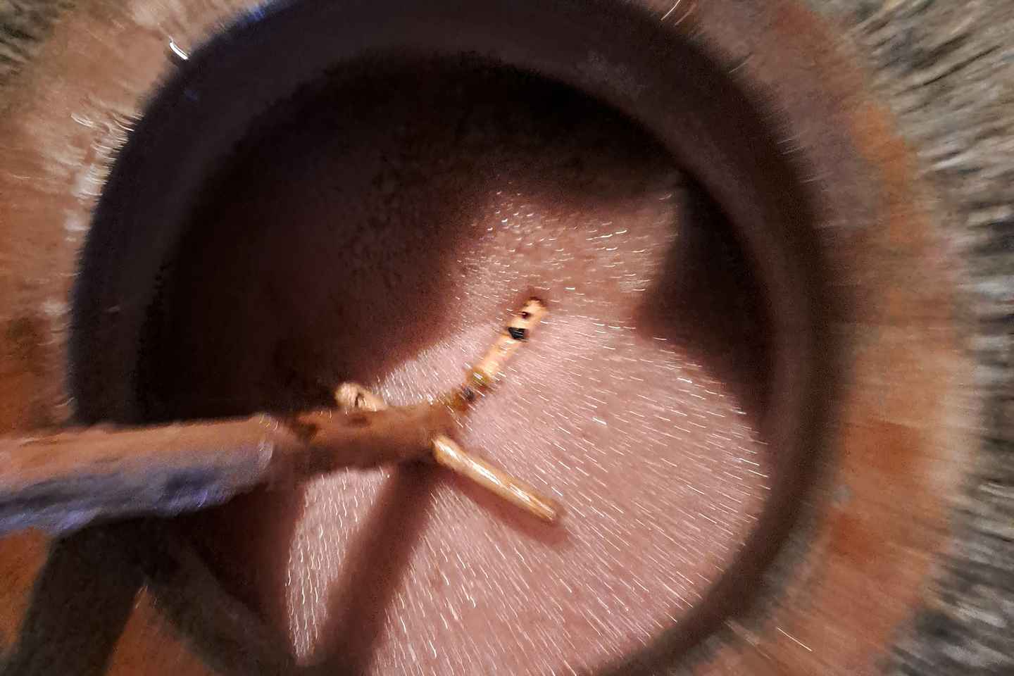 Wine Tour by Winemaker