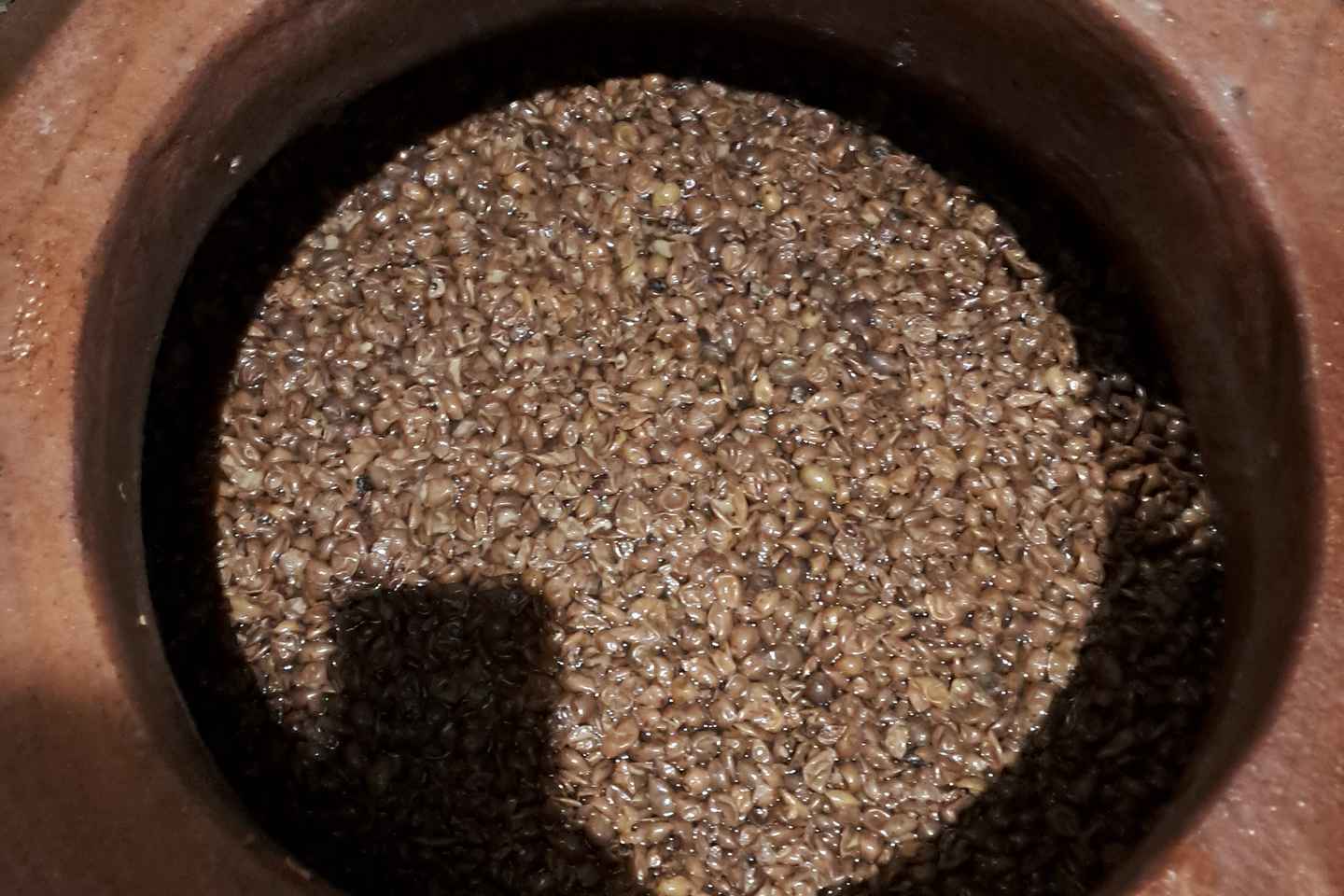 Wine Tour by Winemaker