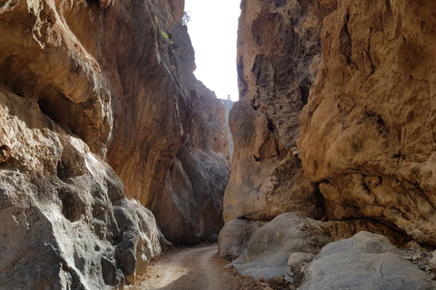 Guidad safari på södra Kreta &amp; Tripitis GorgeFrån Malia: Guidad tur till södra Kreta och ravinen