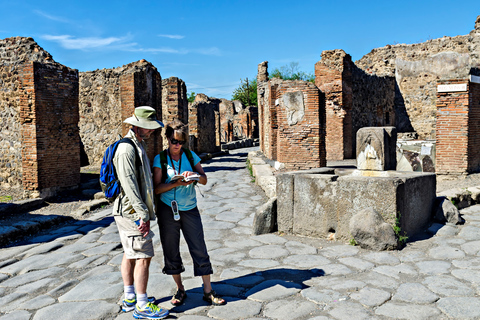 From Naples: Sorrento Transfer, Guided Pompeii Ticket & Tour One way Transfer + Stop in Pompeii 2h