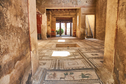 From Naples: Sorrento Transfer, Guided Pompeii Ticket & Tour One way Transfer + Stop in Pompeii 2h