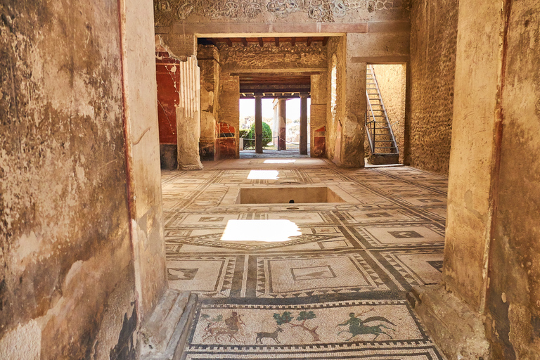 From Naples: Sorrento Transfer, Guided Pompeii Ticket & Tour One way Transfer + Stop in Pompeii 2h