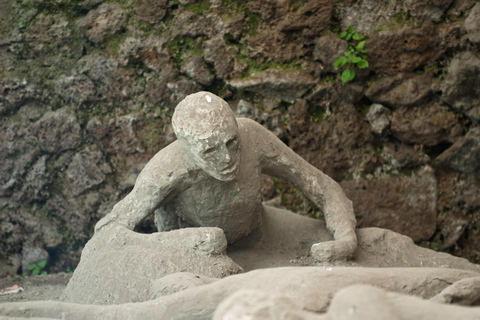 From Naples: Sorrento Transfer, Guided Pompeii Ticket & Tour One way Transfer + Stop in Pompeii 2h