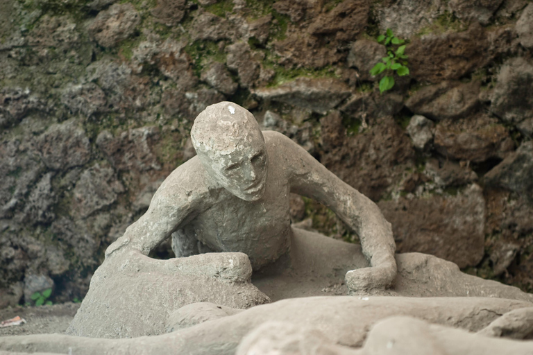 From Naples: Sorrento Transfer, Guided Pompeii Ticket & Tour One way Transfer + Stop in Pompeii 2h