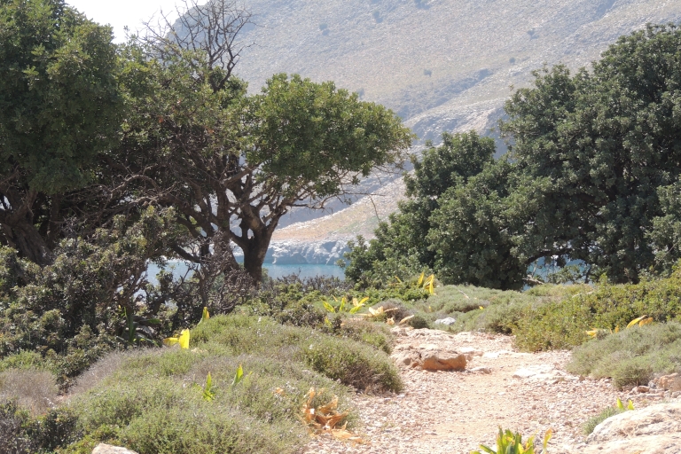 Van Chersonissos Verbazingwekkende Sarakinas-kloof in het oosten van Kretageweldige Sarakinas-kloof in Oost-Kreta