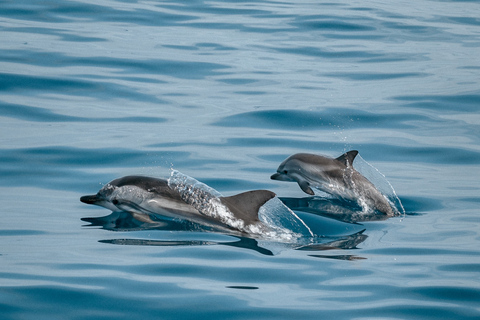 Sotogrande: Private Segeltour + Getränk (für Gruppen)Assol Private Tour 6h