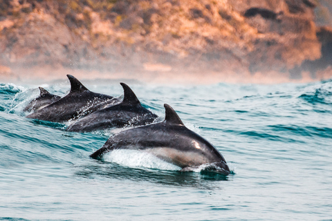 Sotogrande: Private Segeltour + Getränk (für Gruppen)Assol Private Tour 6h