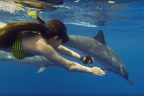 Mnemba snorkeling and swimming with dolphin