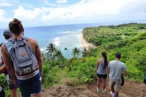 Kauai: Selbstfahrender Sightseeing-Roadtrip