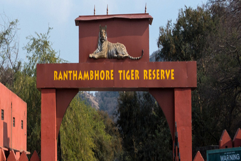 Ranthambore Tiger Safari Tour 2 nuits 3 jours