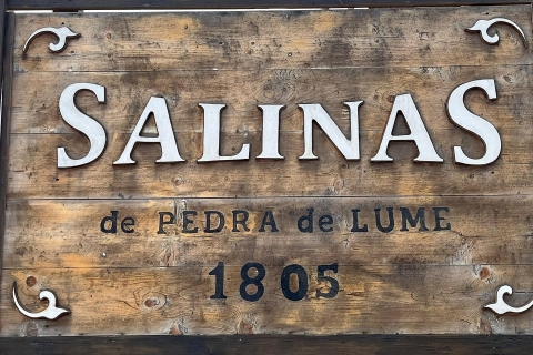Excursión de día completo a la Isla de Sal en Santa María