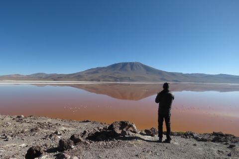Z La Paz: Uyuni Salt Flats i kolorowe laguny (tylko 4 osoby)
