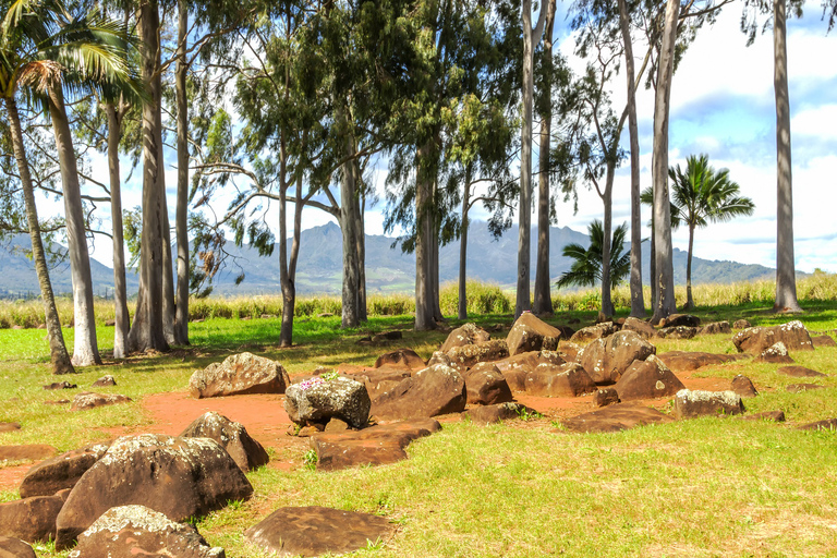 Oahu: road trip touristique en voiture