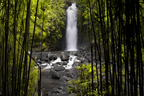 Maui: viaje por carretera turístico sin conductor