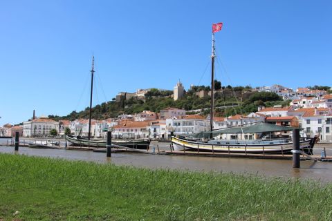 Lisbon: Alcácer do Sal, Comporta, Tróia and Setúbal Day Trip