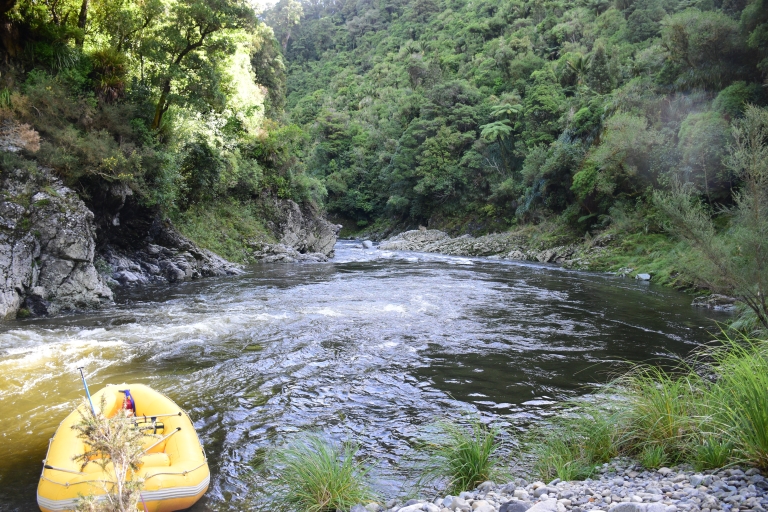 Te Awa Kairangi Wilderness Grade 3: spływ tratwami po białej wodzieTe Awa Kairangi Wycieczka raftingowa po dziczy klasy 3