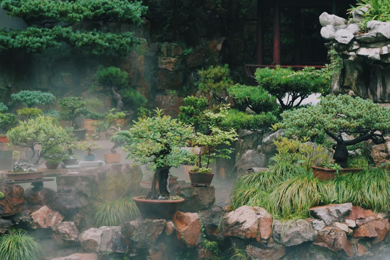 Shanghai City Essentials: Culture, Yu Garden & The Bund View Guide for other languages