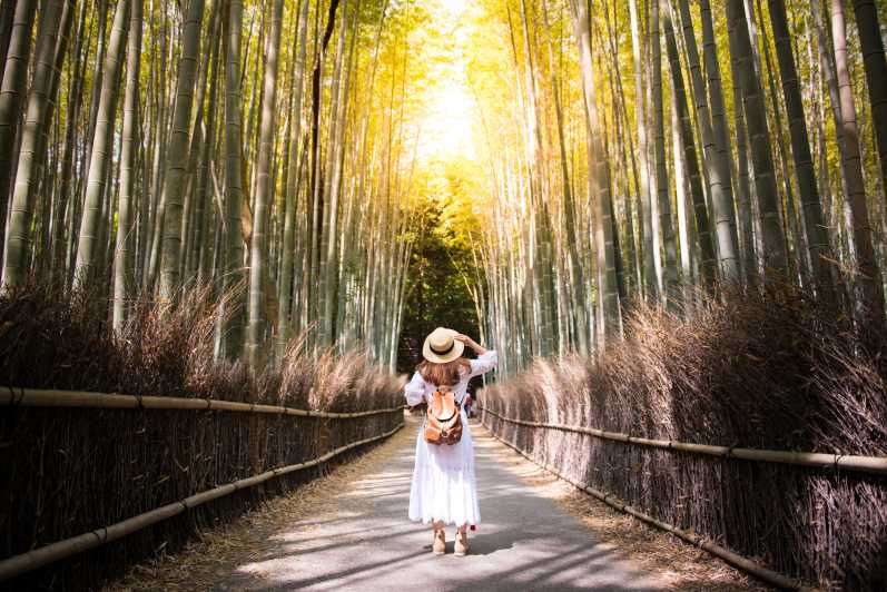 Kyoto: tour guidato a piedi della foresta di bambù di Arashiyama