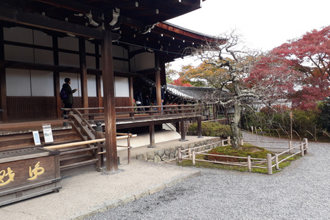 Kioto: Visita guiada de 3 horas al bosque de bambú de ArashiyamaTour privado