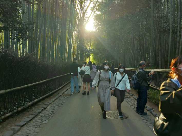 arashiyama tour guide