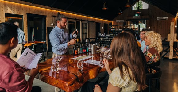 Queenstown: Classic Central Otago Wine Tasting Experience