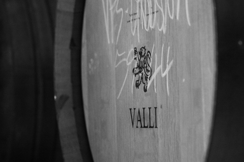 Queenstown : Dégustation de vins de Valli