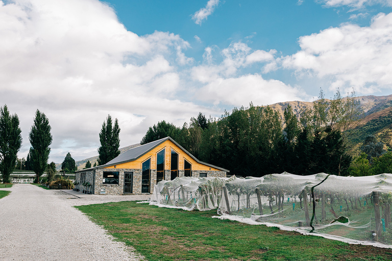 Queenstown : Dégustation de vin de première qualité dans la région de Central Otago