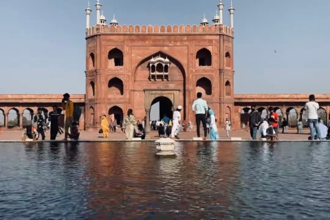Delhi : Visite guidée privée d'une journée de la vieille ville et de la nouvelle ville de DelhiVisite avec déjeuner, billets d'entrée, voiture privée, pousse-pousse et guide