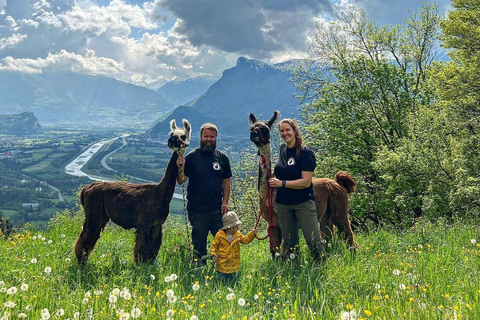 Triesenberg: Vandra med lamor i bergen