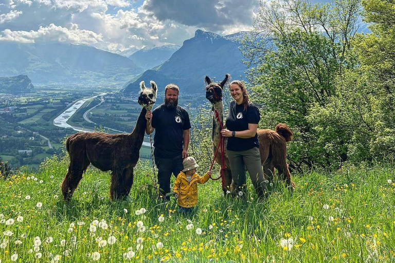 Triesenberg: Vandra med lamor i bergen
